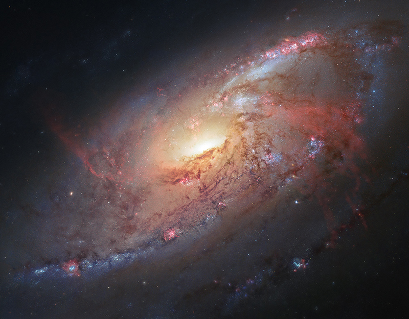 Illustration of the spiral galaxy M106