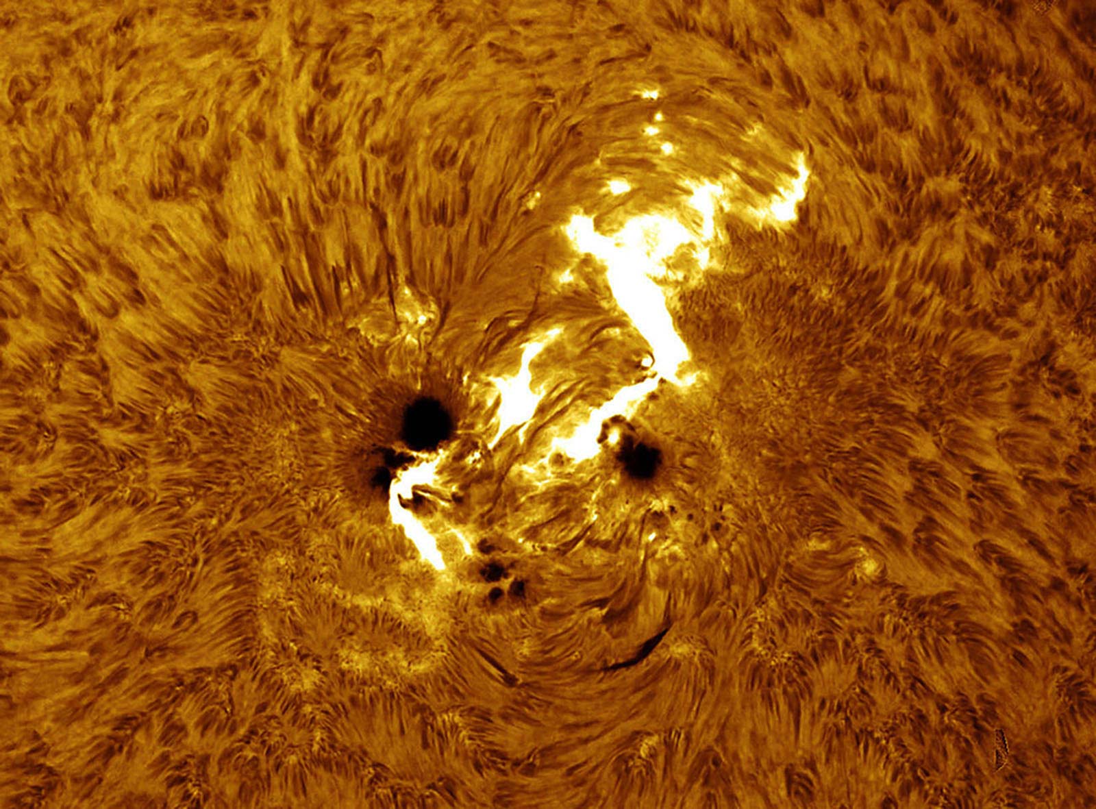 Solar flare erupts near a sunspot as imaged in H-alpha