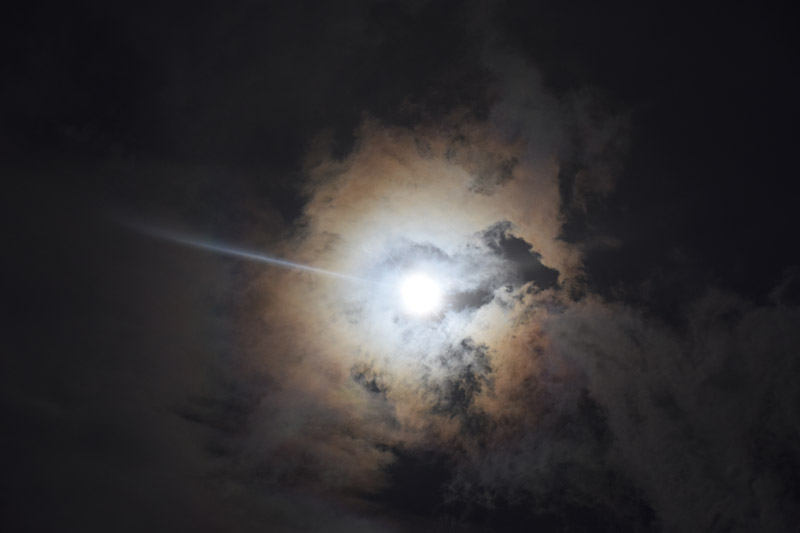 Field Notes from a First-Time Eclipse Watcher