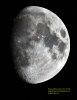 gibbous moon small.jpg