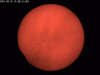 Eclipse 320x240 GIF.gif