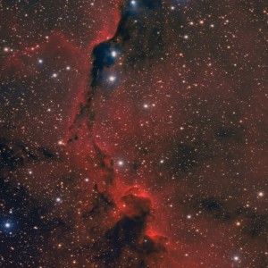 Elephant's Trunk (IC1396) - In SGL (Large)