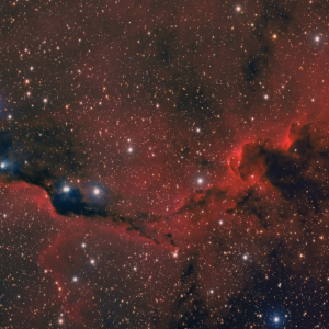 Elephant's Trunk Nebula (IC 1396) (PNG)
