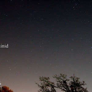 GEMINID 12-13-17