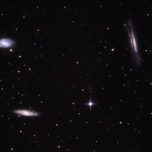 Leo Trips II ST Repair PS Crop