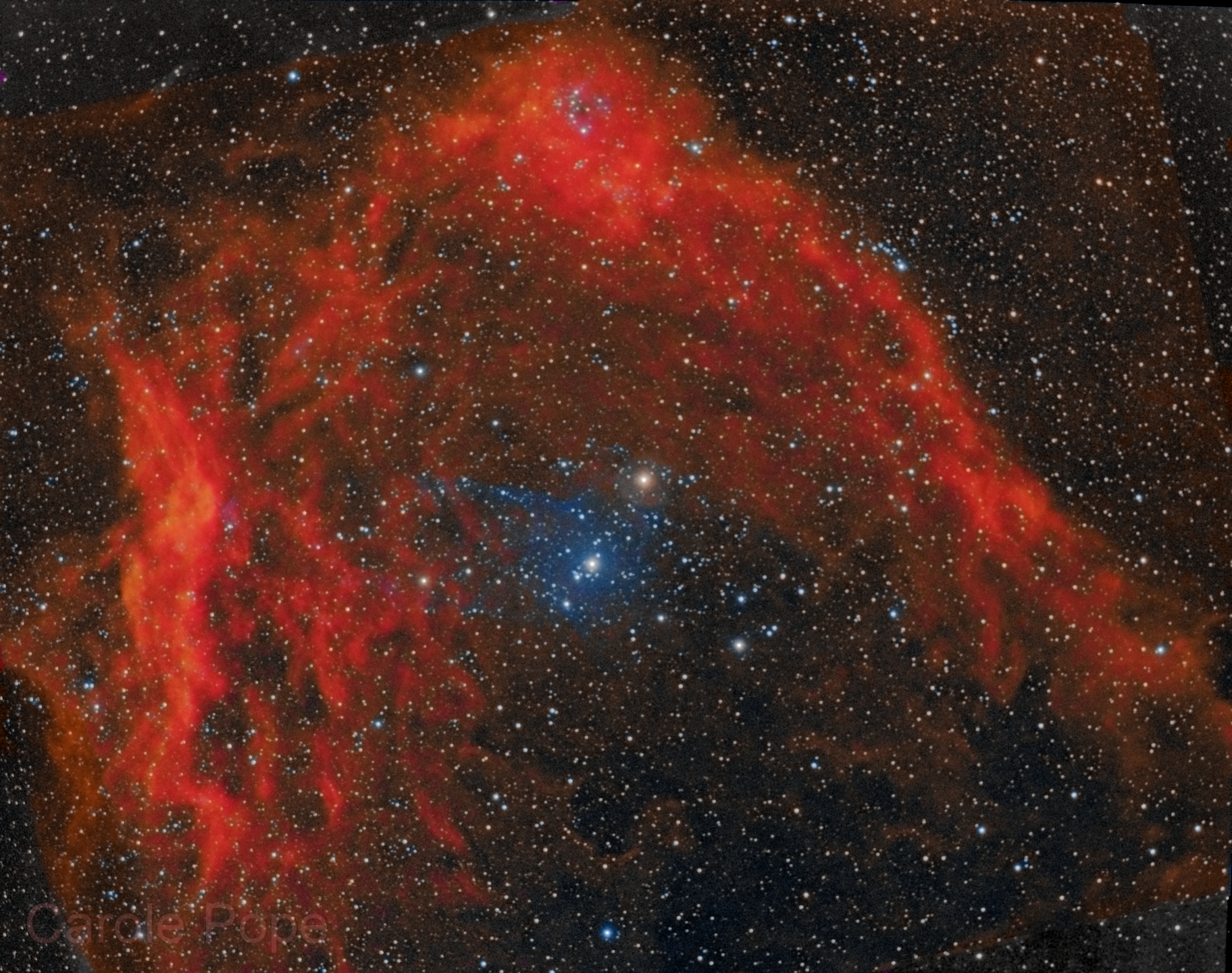 Bat Nebula