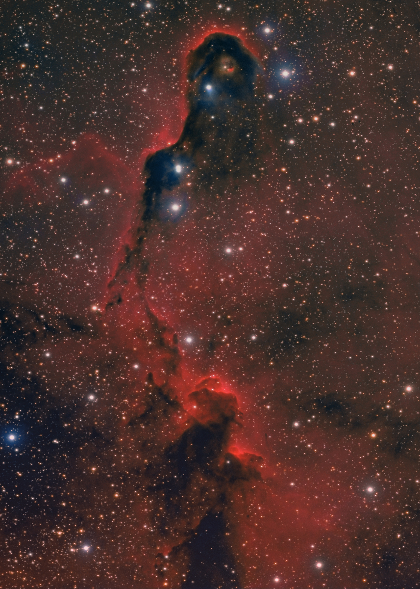 Elephant's Trunk (IC1396) - In SGL (Large)
