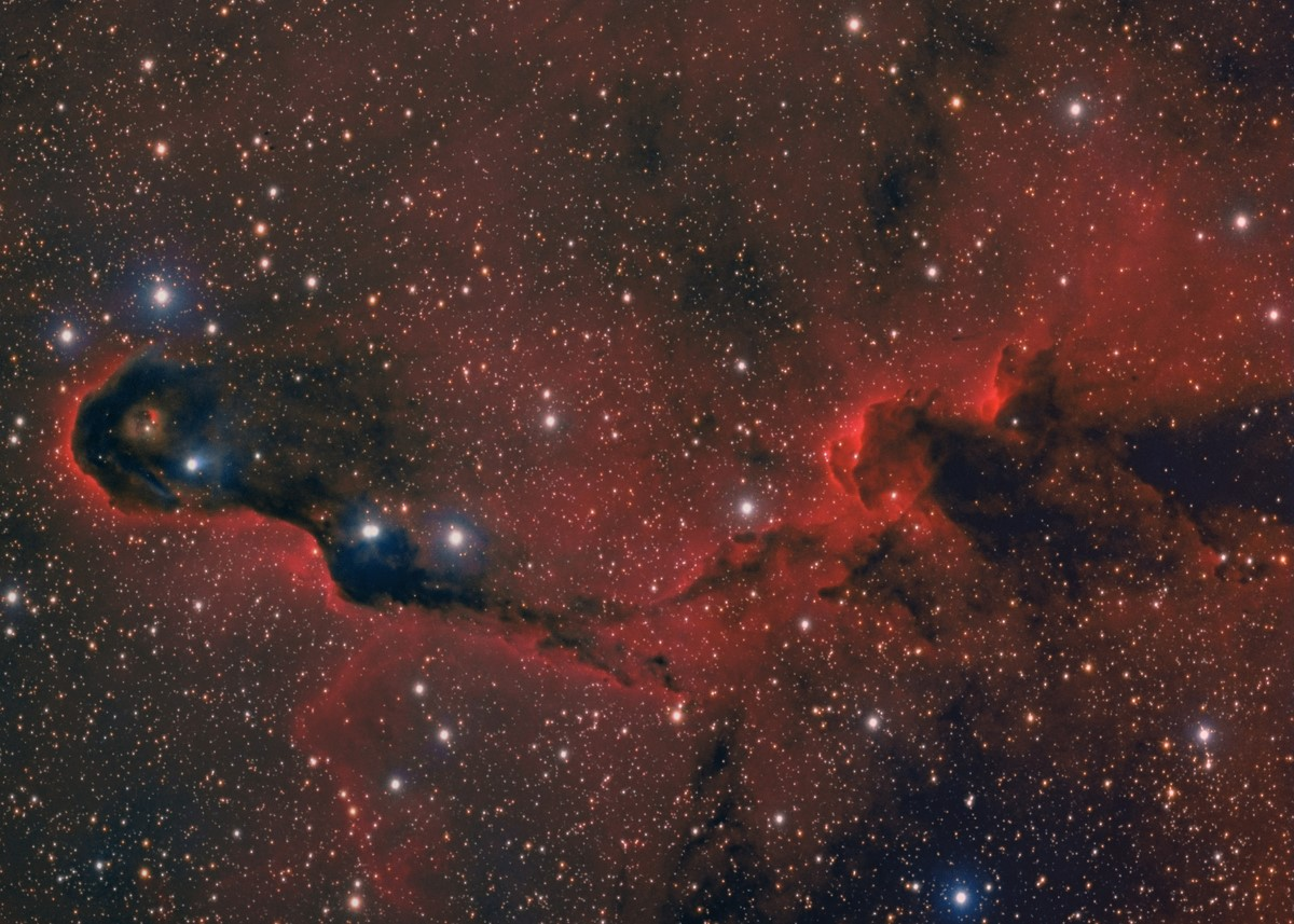 Elephant's Trunk Nebula (IC 1396) (PNG)