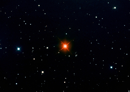Hind's Crimson Star PNG
